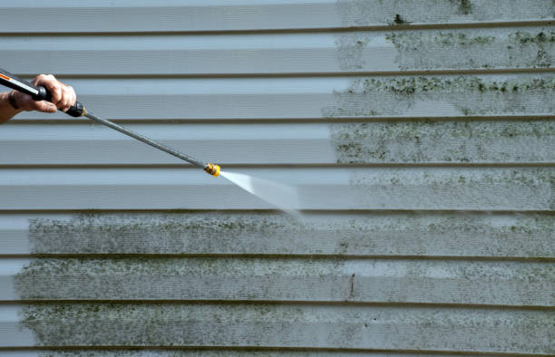 Best Same-Day Mold Removal  in Leander, TX