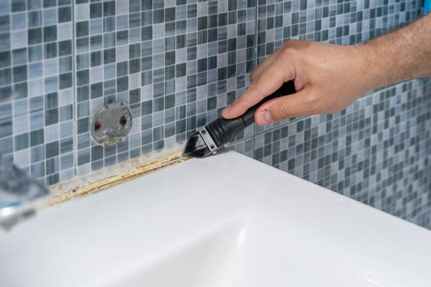 Best Mold Cleaning Services  in Leander, TX