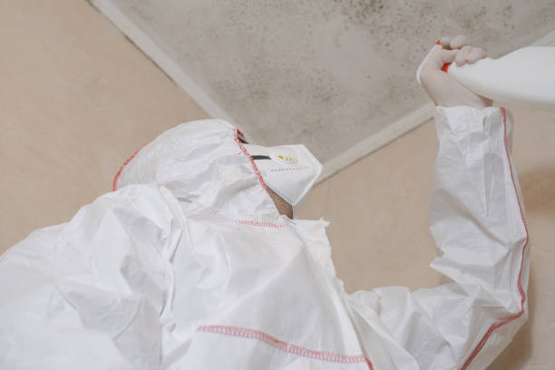 Best Toxic Mold Removal  in Leander, TX